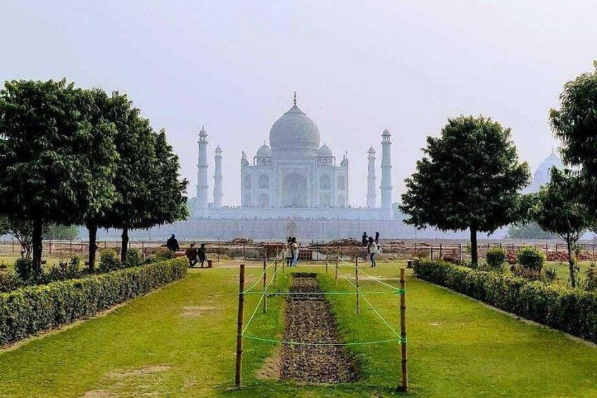 View of Taj Mahal from Mehtab Bagh Garden 3