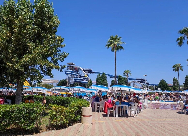 A water park with a roller coaster, palm trees, and people enjoying the facilities. 4