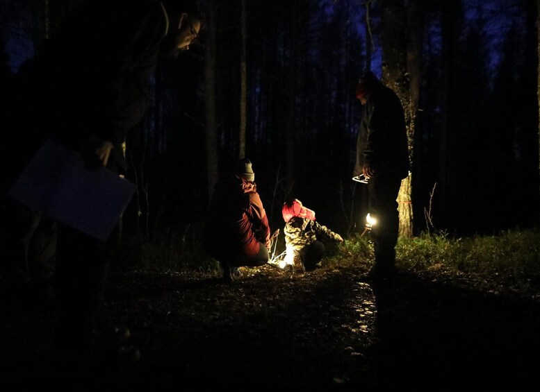 Picture 18 for Activity Rovaniemi: Arctic Elf Treasure Search in Santa Claus Forest 2