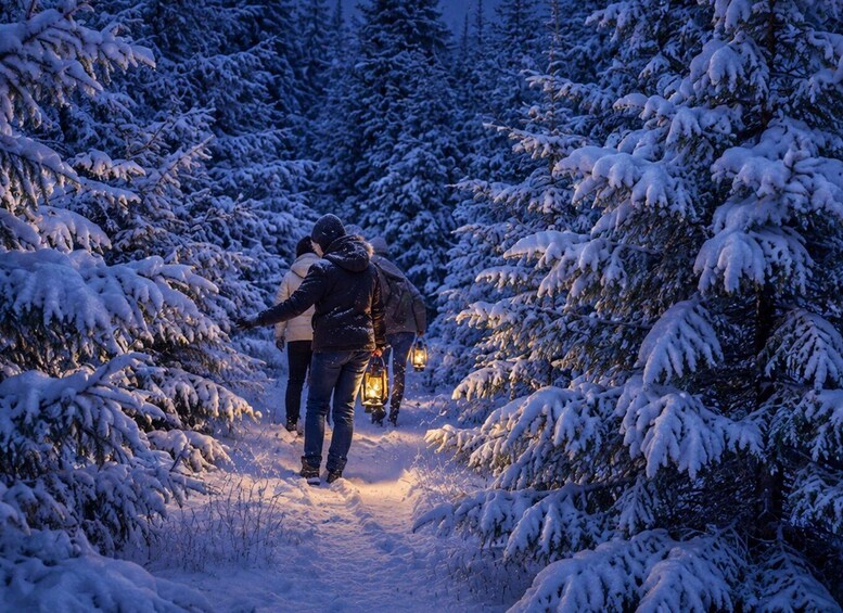 Picture 14 for Activity Rovaniemi: Forest Elf Treasure Hunt in Santa Claus Forest 2