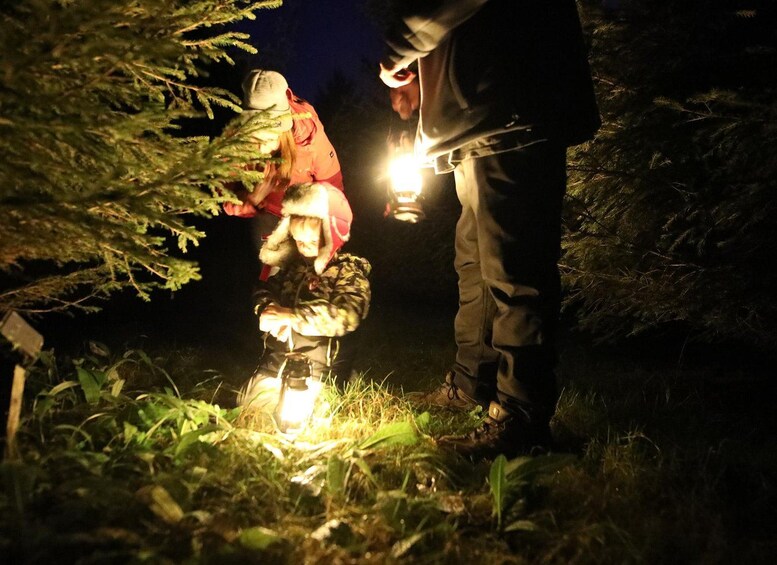Rovaniemi: Arctic Elf Treasure Search in Santa Claus Forest 1