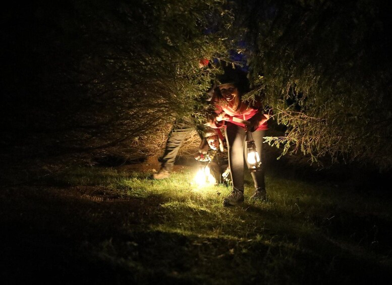 Picture 10 for Activity Rovaniemi: Arctic Elf Treasure Search in Santa Claus Forest 4