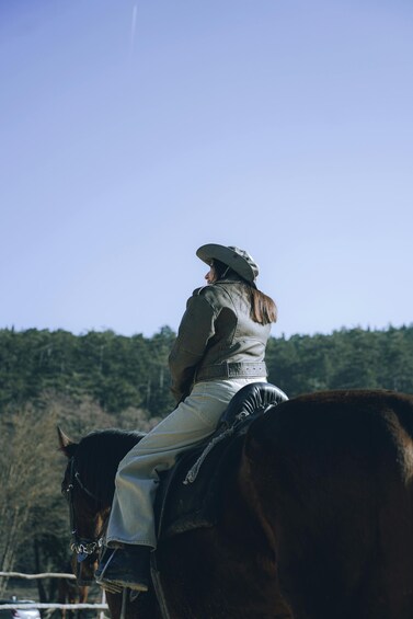 A person riding a horse. 1