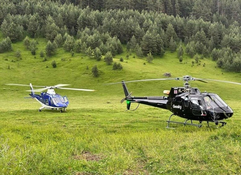 Två helikoptrar på en gräsbevuxen åker med en skog i bakgrunden. 4