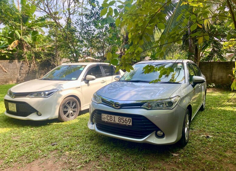 Two cars parked on a grassy area with trees and a wall in the background. 5