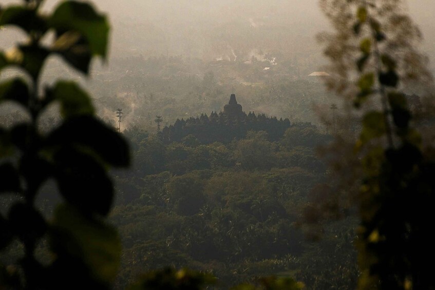 A misty landscape with a prominent hilltop structure, dense forest, and a power line. 1