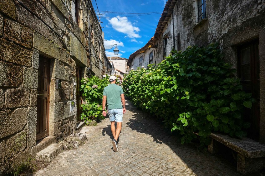 A narrow cobblestone street flanked by historic stone buildings and lush green foliage. 1