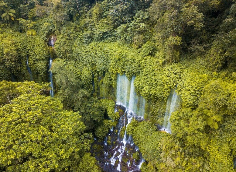 A lush green forest with multiple waterfalls cascading down a rocky terrain. 1