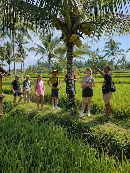 A group of people standing in a rice field with a palm tree and a thatched-roof structure in the background. 1