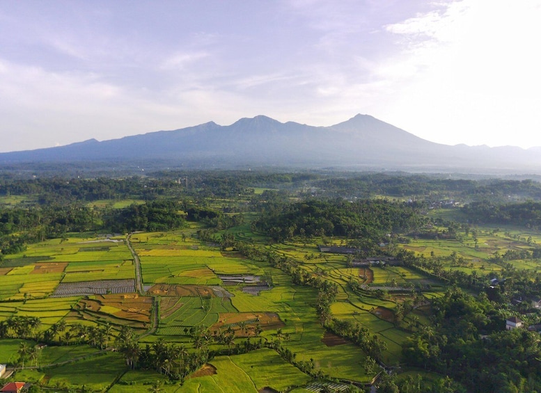 A landscape with terraced fields, a mountain in the background, and a clear sky. 3