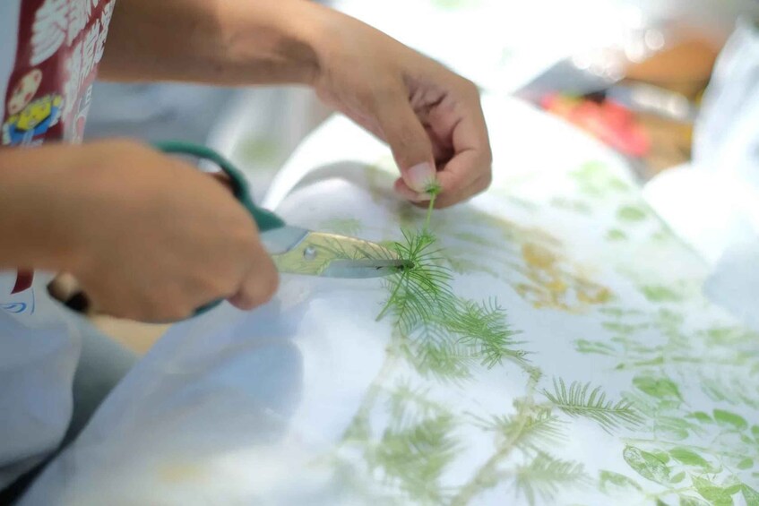 A person cutting a green leafy plant with scissors. 3