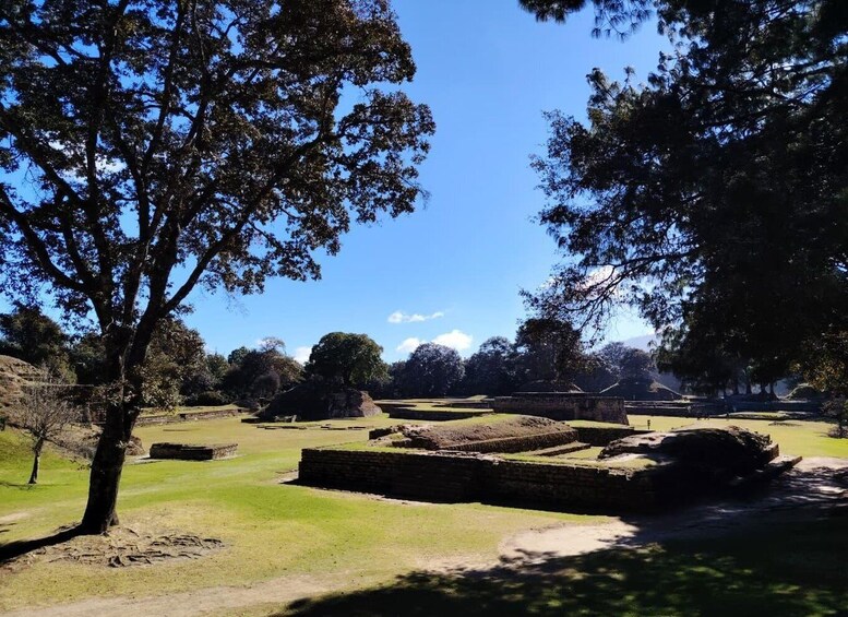 Ancient ruins with stone structures and a large tree in the foreground. 4