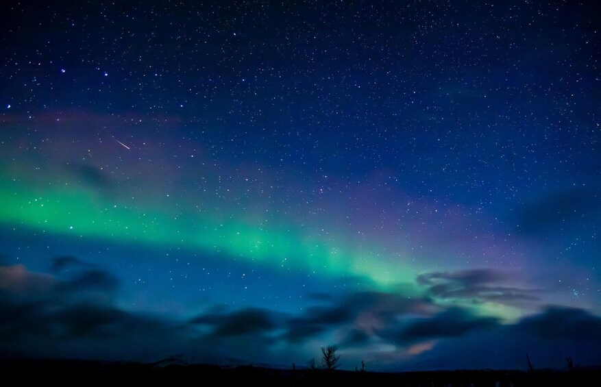 A night sky with stars and the aurora borealis. 3
