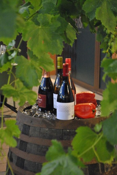 Wine bottles on ice in a barrel, surrounded by green leaves. 2