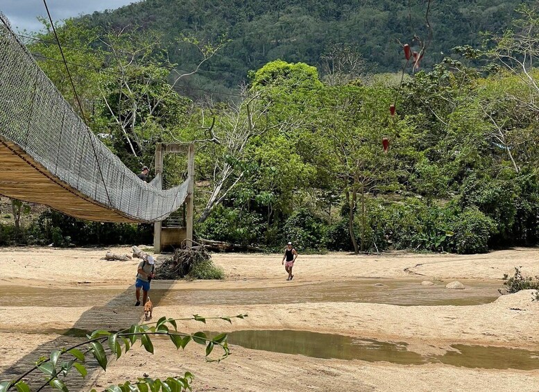 A hammock strung between trees, a wooden walkway, and a riverbank. 5