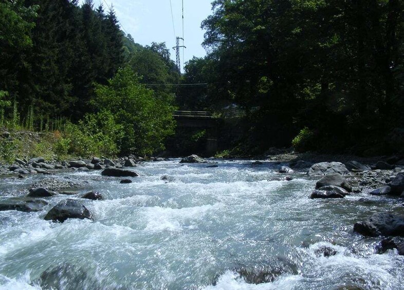 A fast-flowing river with rocks, surrounded by dense forest and a bridge in the background. 5