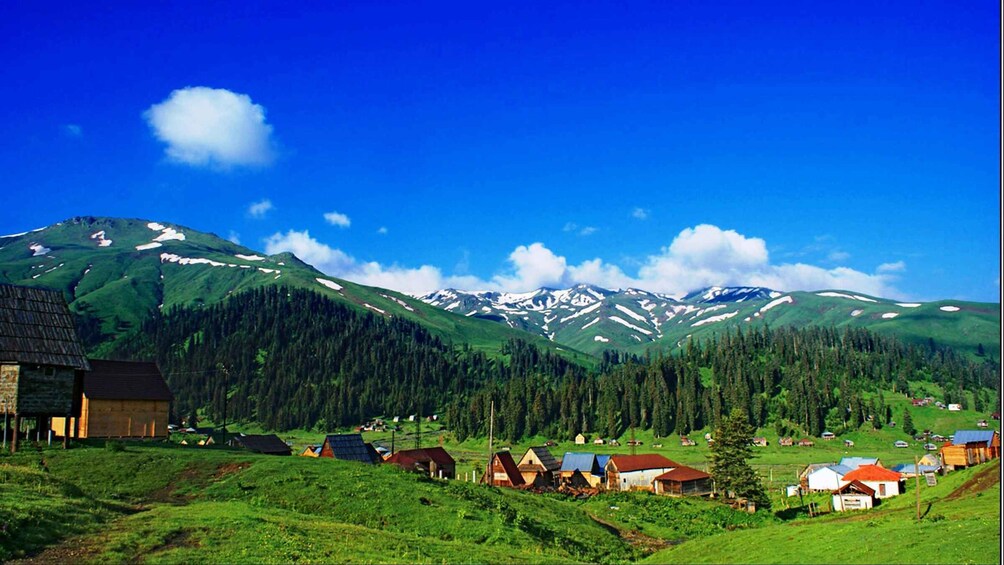 A mountainous landscape with a village, houses, and snow-capped peaks. 1