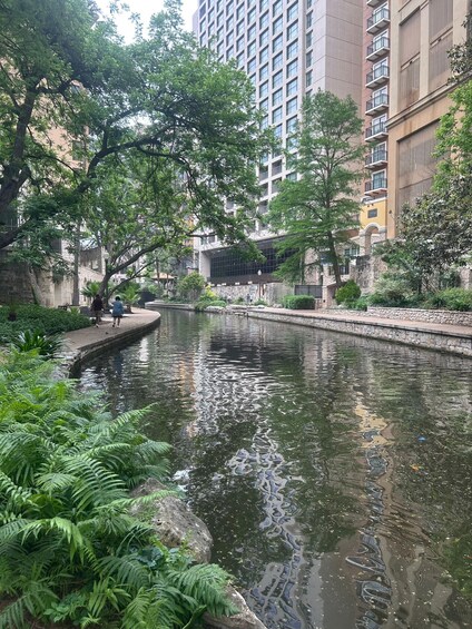 A calm river with surrounding greenery and modern buildings. 4