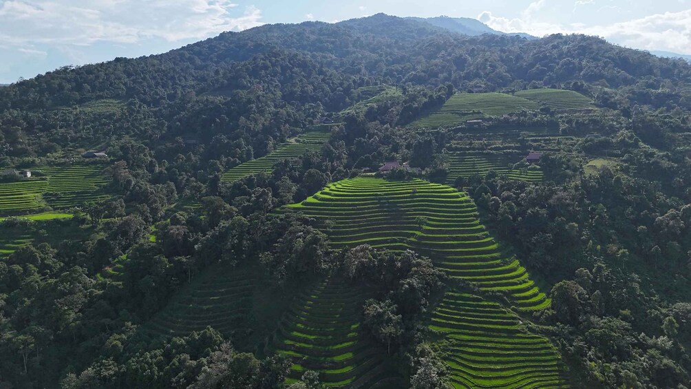 Terraced fields on a hillside with a mountain in the background. 5