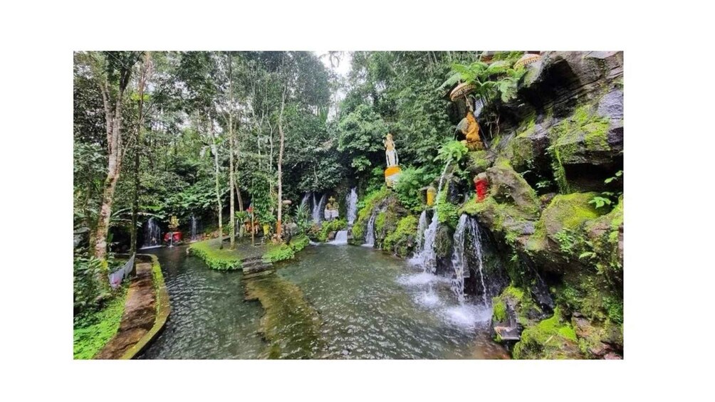 A serene forest stream with waterfalls and moss-covered rocks. 1