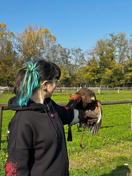 A person with blue hair holding a bird of prey in a grassy field with trees in the background. 1