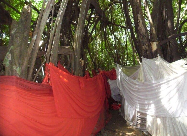 A structure with red and white fabric draped over it, surrounded by trees. 4
