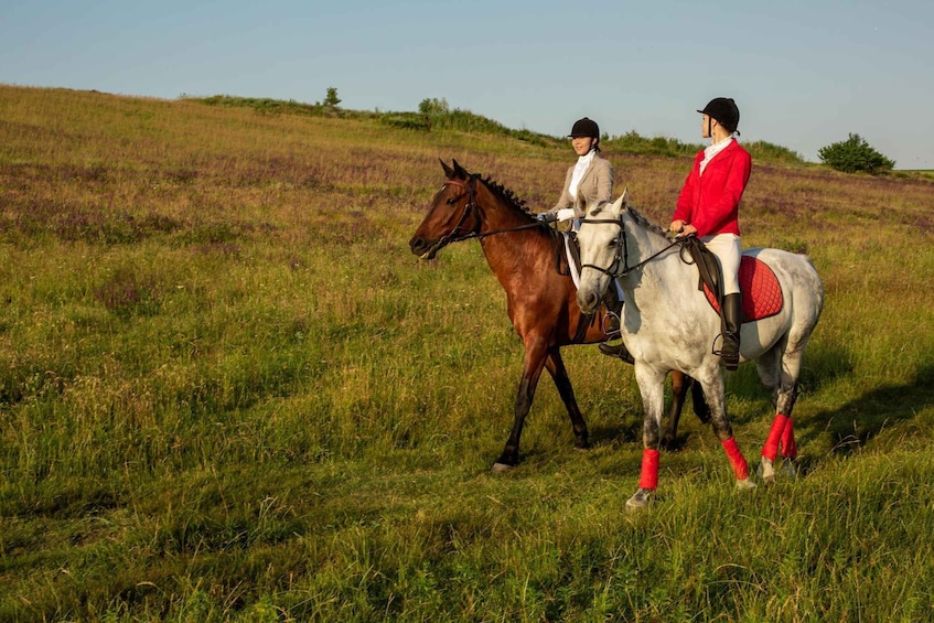 Two riders on horses in a grassy field. 4