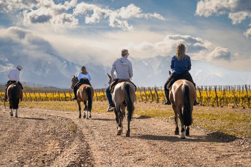 Four people riding horses on a dirt path with a vineyard and mountains in the background. 1