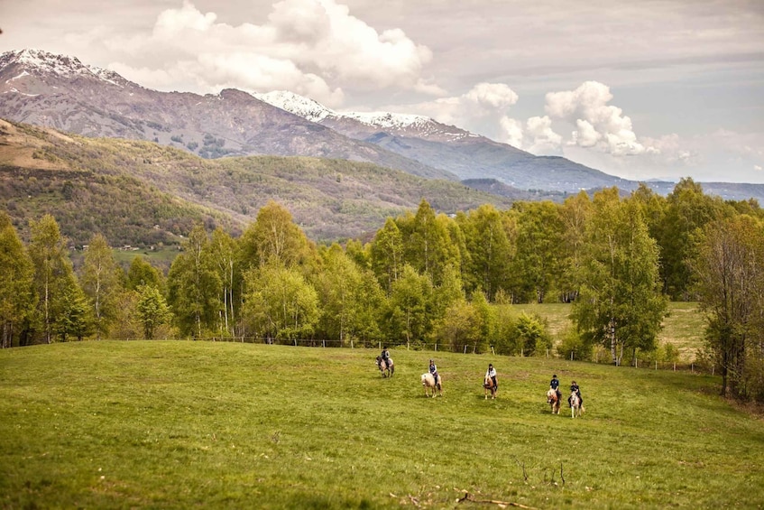 A group of people horseback riding in a grassy field with mountains in the background. 5