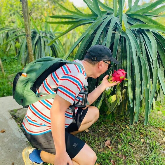 A person crouching near a plant with long green leaves, holding a red flower. 4