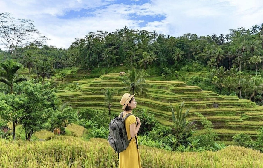 Ubud: Waterfall, Hidden Temple & Rice Terrace Private Tour 2