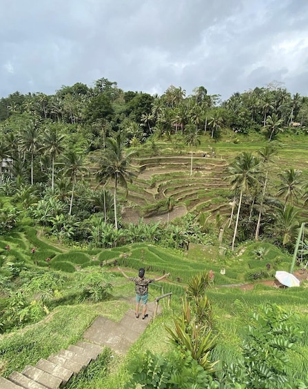 A person standing on a stone path with arms outstretched, overlooking terraced rice fields and palm trees under a cloudy sky. 3