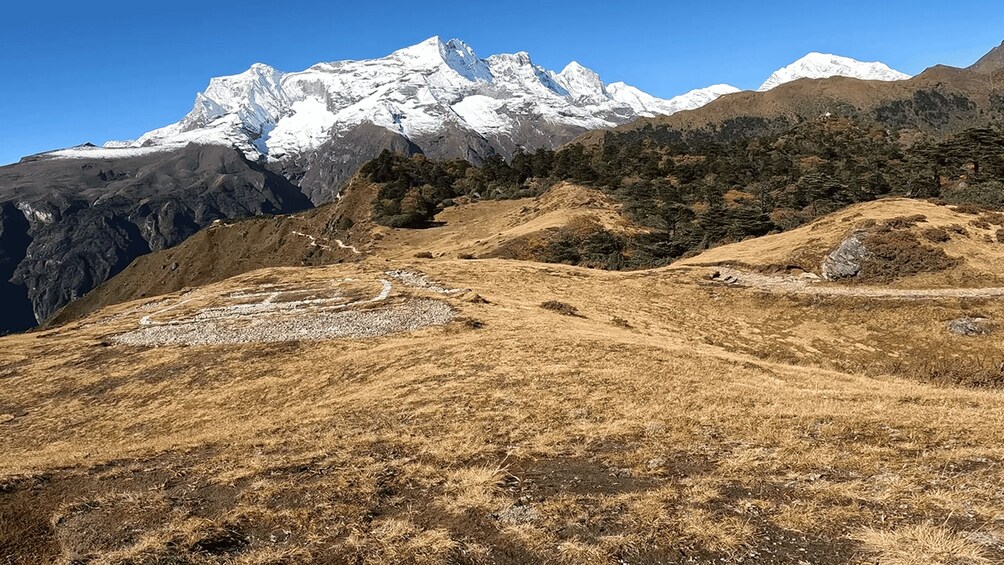 A mountainous landscape with a snow-capped peak in the background. 5