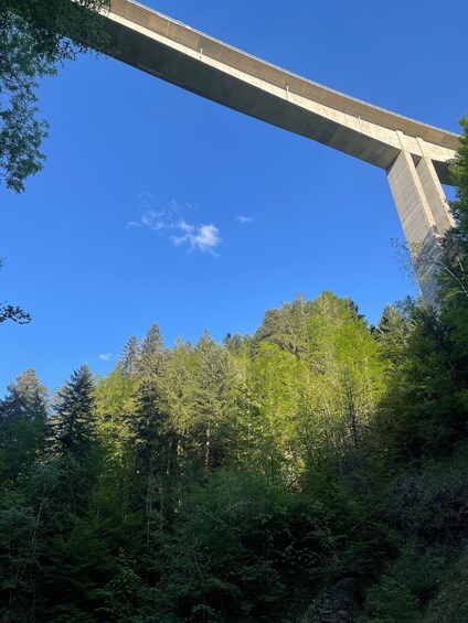 A concrete bridge arching over a dense forest. 2