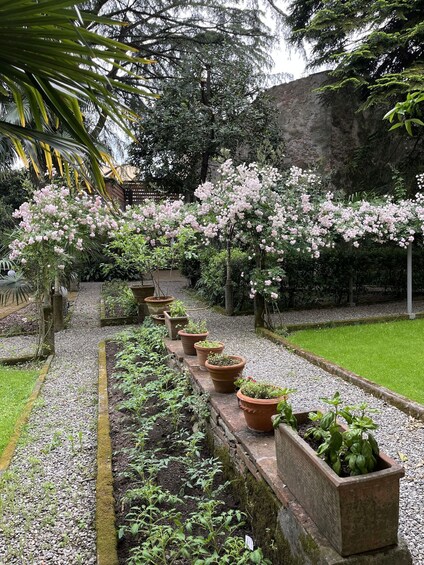 A garden with a gravel path, flowering trees, and potted plants. 3