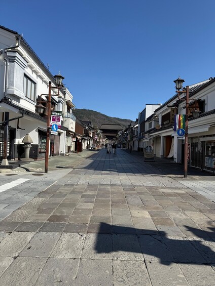 A paved street lined with traditional buildings, a clear blue sky, and a distant mountain. 4