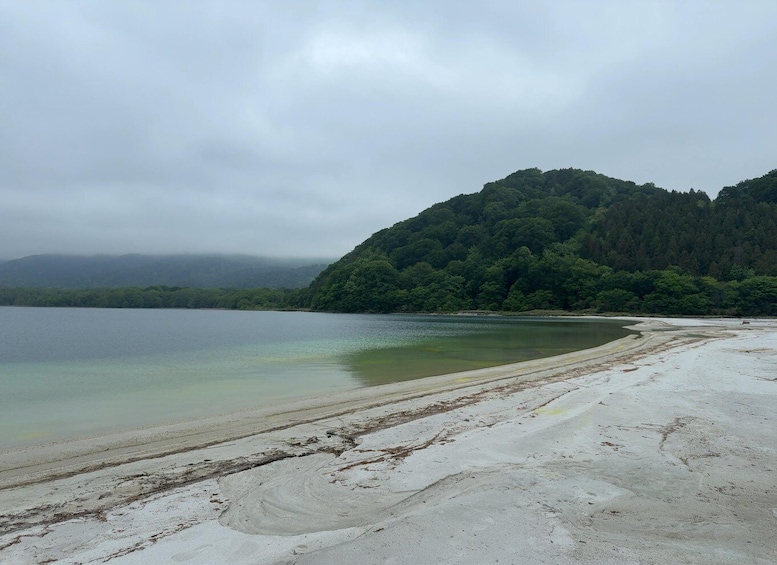 A beach with clear water, sandy shore, and a forested hill in the background. 4