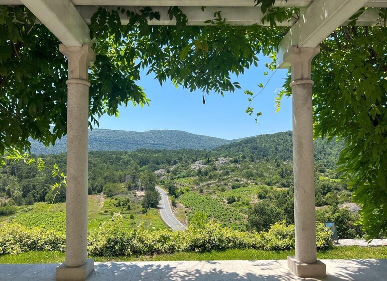 Picture 12 for Activity Pelješac: Saints Hills Winery Tour & Red Wine Pairing 5