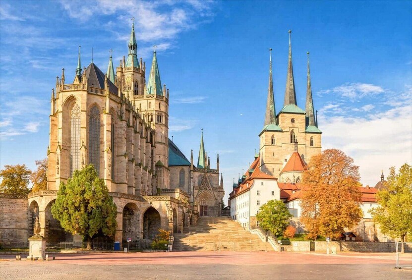 A historic cathedral with multiple spires and a large tree in the foreground. 1