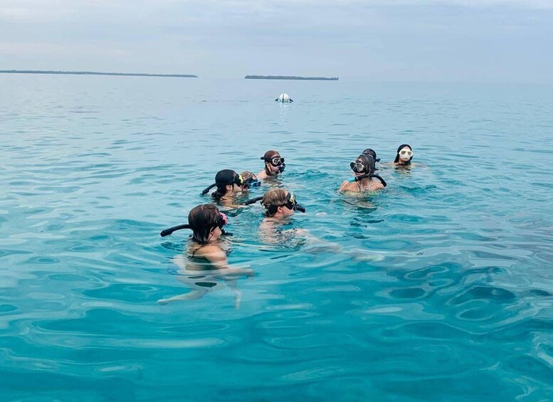 A group of people swimming in a body of water with distant land visible. 1