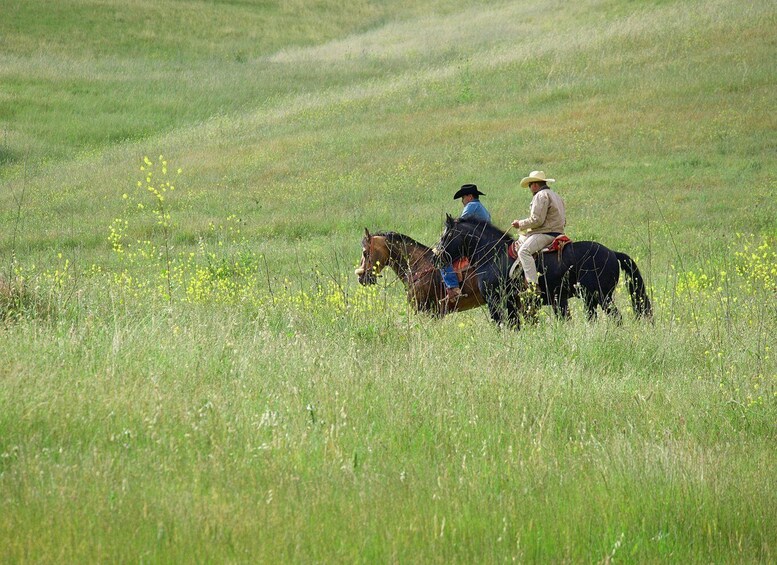 Two people riding horses across a grassy field with yellow flowers. 3