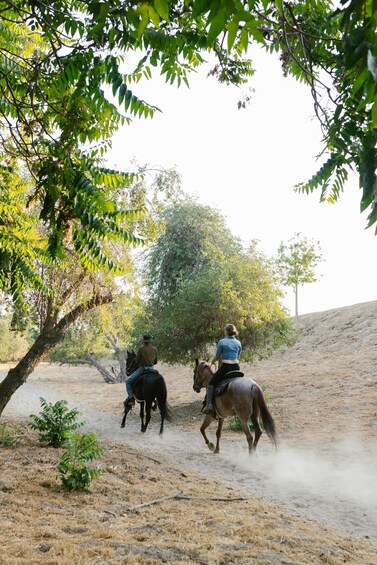 Two people horseback riding on a dirt trail with trees on the sides. 2