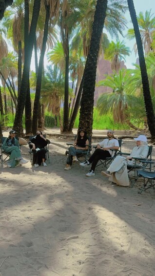 A group of people sitting on chairs under palm trees in a sandy area. 4