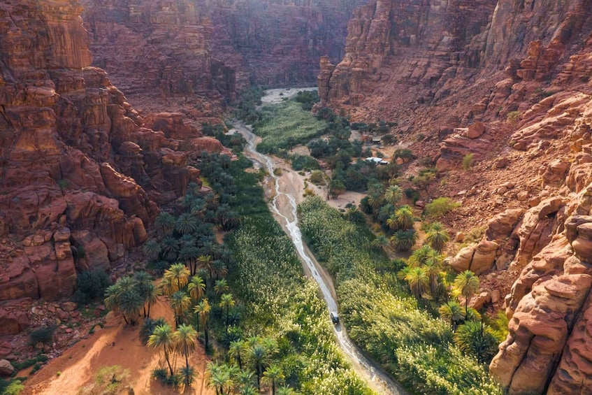 A canyon with a winding road, dense vegetation, and rocky cliffs. 1