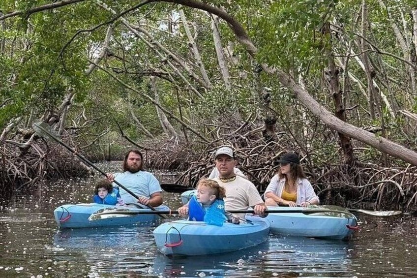 A family in a small boat on a mangrove-filled waterway. 2