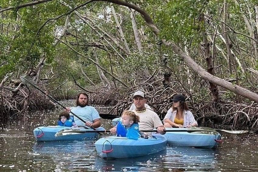 People in canoes on a calm river surrounded by mangrove trees. 2