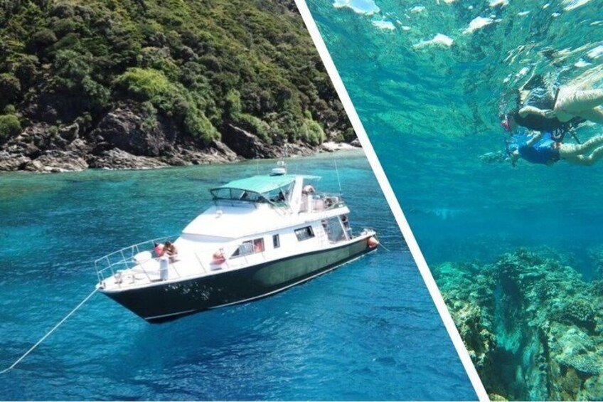 A boat on clear blue water with a forested coastline. 1