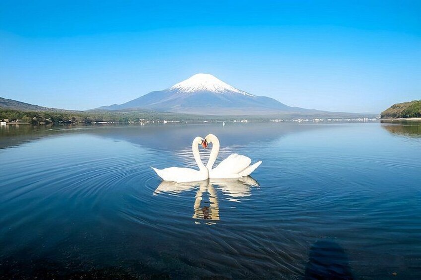 Mt Fuji Six Scenic Spots Small Group Day Tour Including Pickup 4