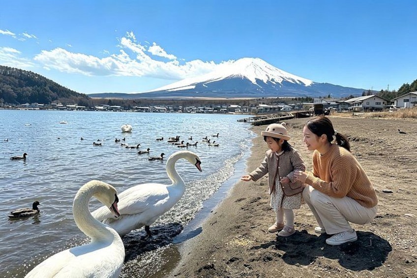 Mt Fuji Six Scenic Spots Small Group Day Tour Including Pickup 5