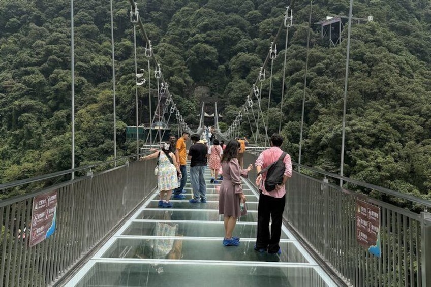A glass-bottomed bridge with people walking on it, surrounded by dense forest. 1